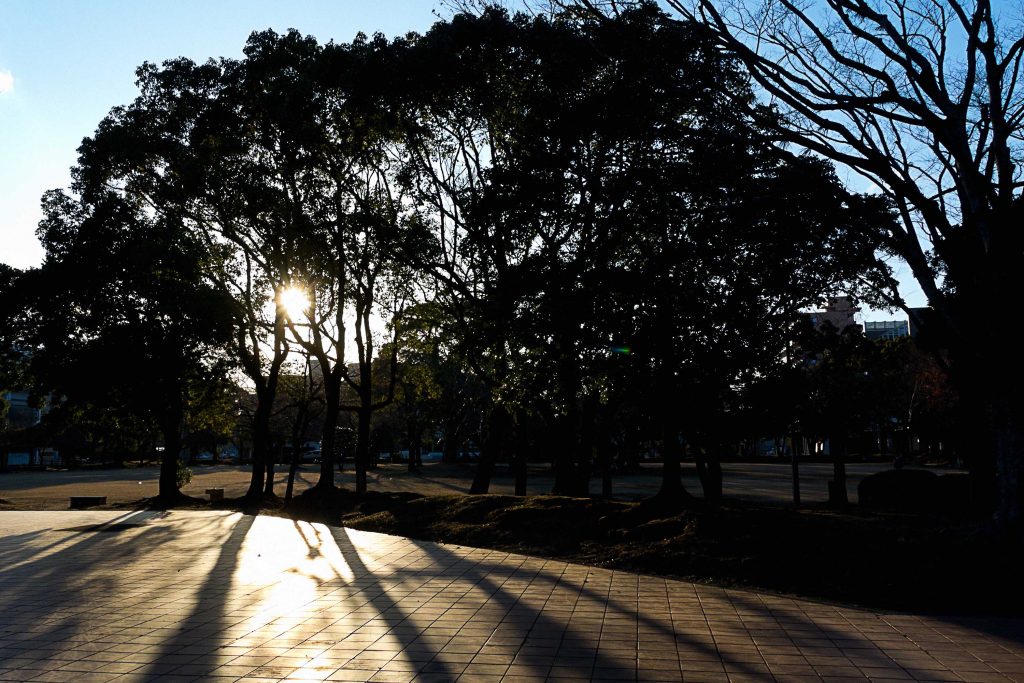 宮崎中央公園の日没のイメージ