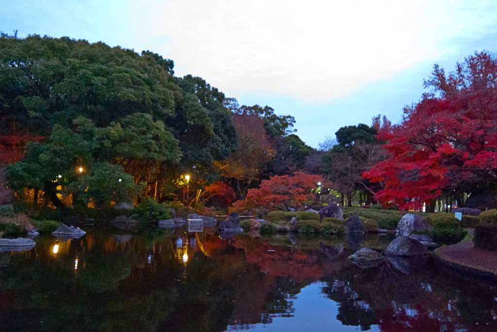 宮崎市中央公園の池の紅葉のイメージ