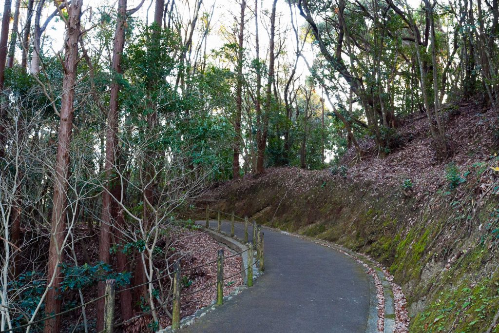 平和台公園の細道のイメージ