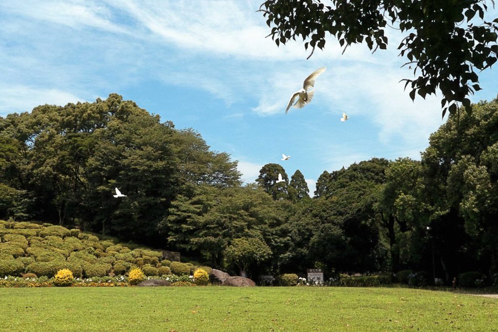 宮崎県立平和台公園の空を舞う白い鳩のイメージ