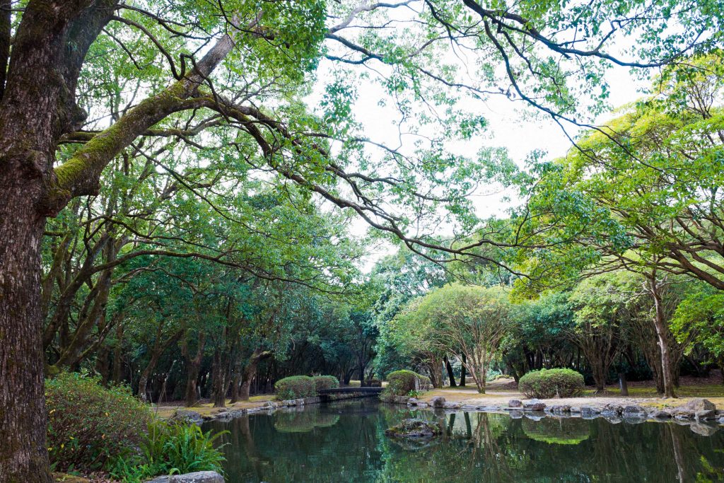 阿波岐原森林公園の市民の森の池のイメージ