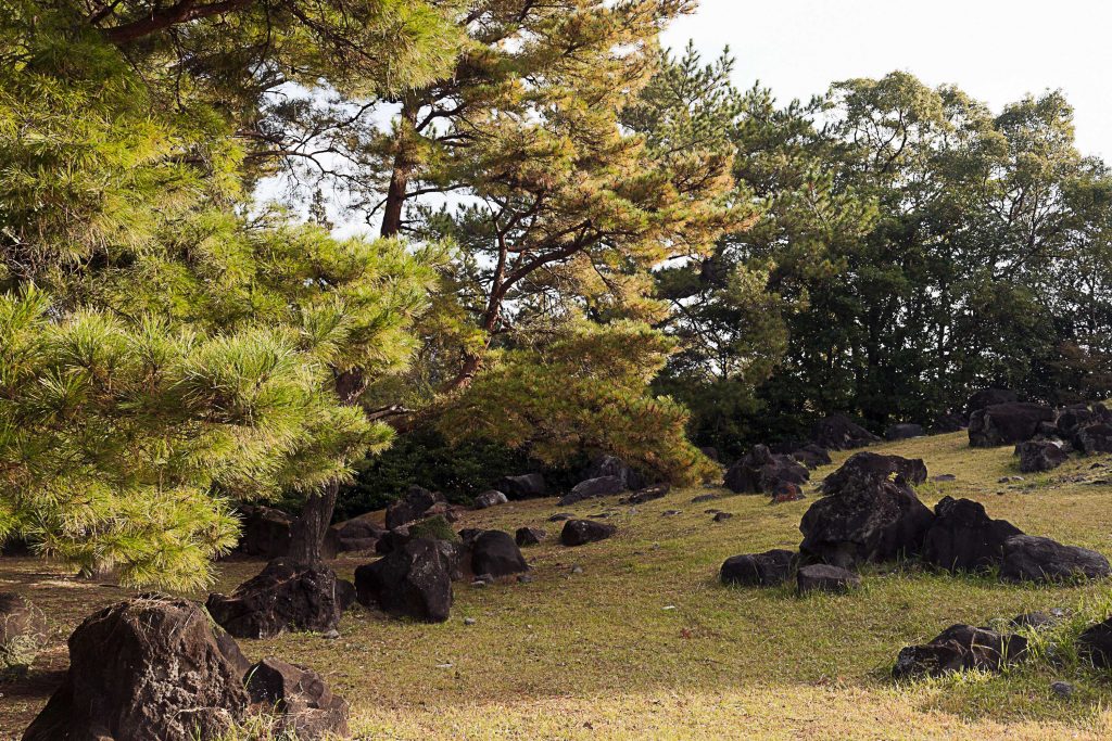 宮崎県総合運動公園の日向景修園のイメージ