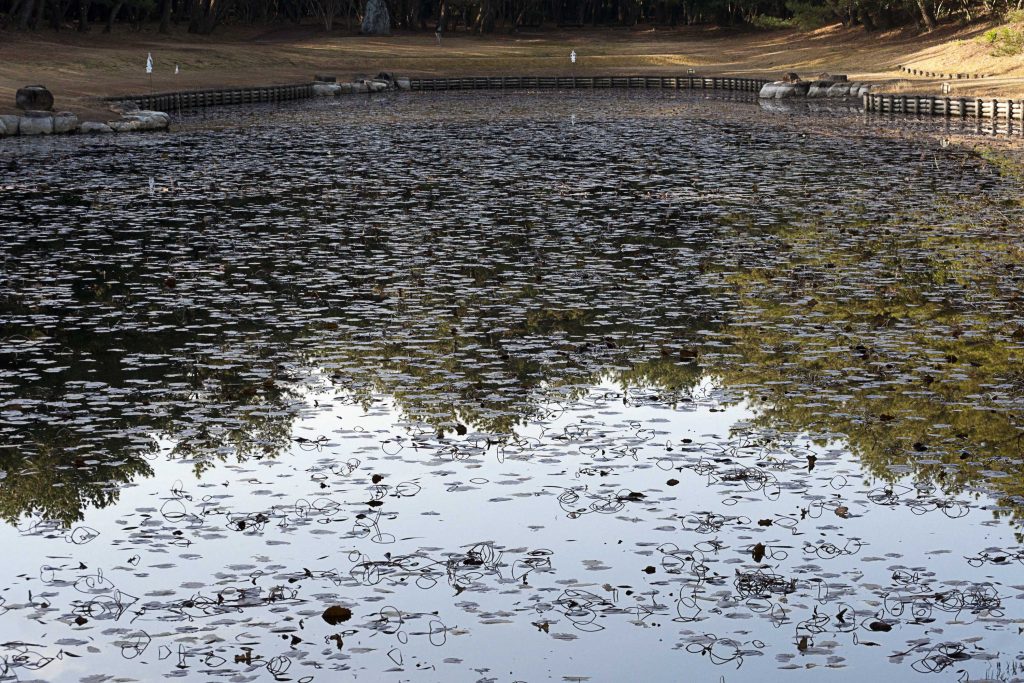 阿波岐原森林公園の市民の森のみそぎ池のイメージ