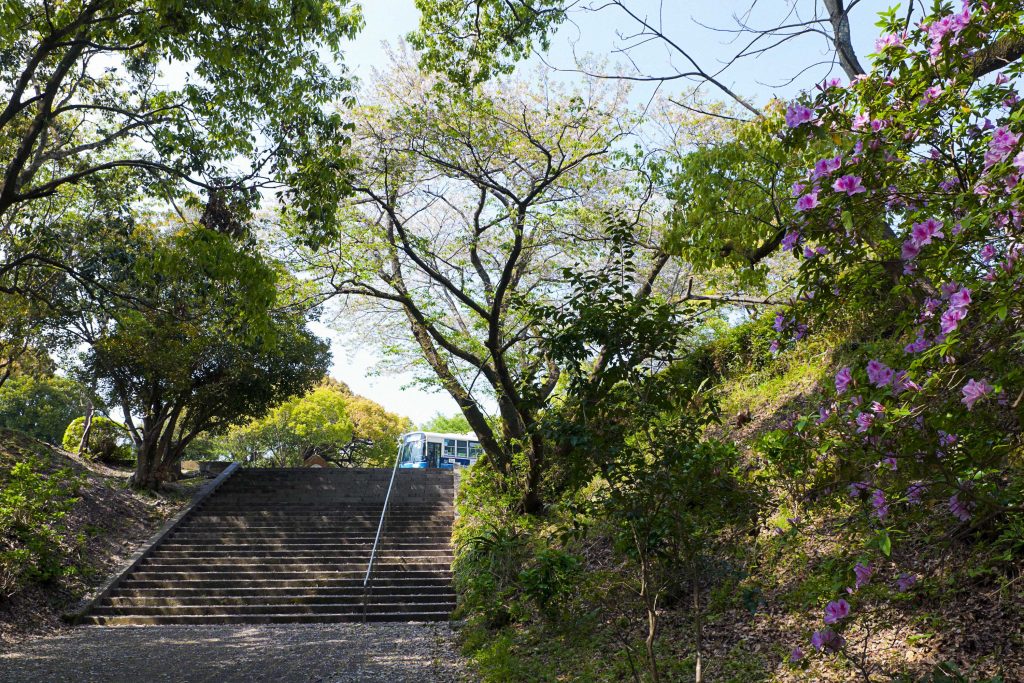 宮崎県立平和台公園へ登る石段のイメージ